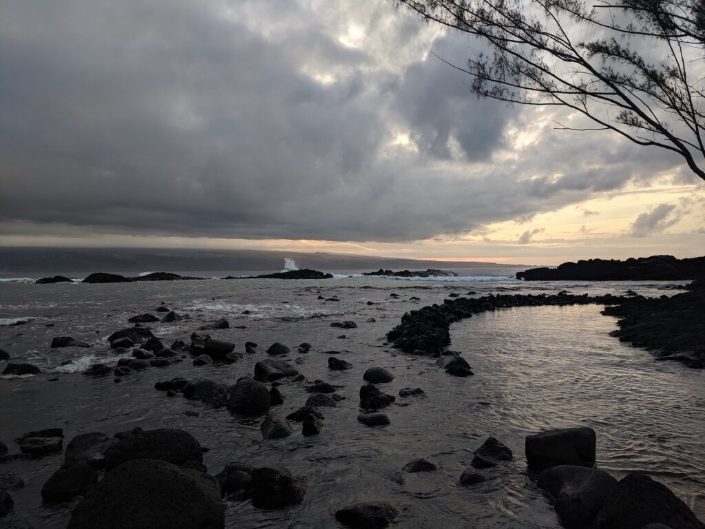 richardson-ocean-park-cove